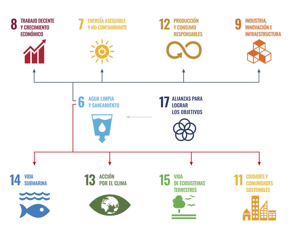 ACO y los Objetivos de Desarrollo Sostenible (ODS)